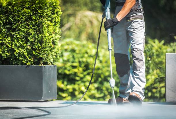 Best Gutter Cleaning  in South Fulton, TN
