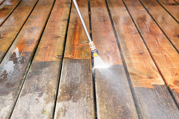 Best Dumpster Area Cleaning  in South Fulton, TN